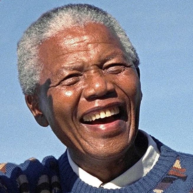 91jLNRXv6WL._AC_SL1500_